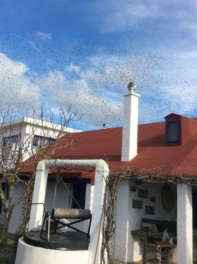 La Casa De Las Higueras Dar Karmus Tétouan Buitenkant foto